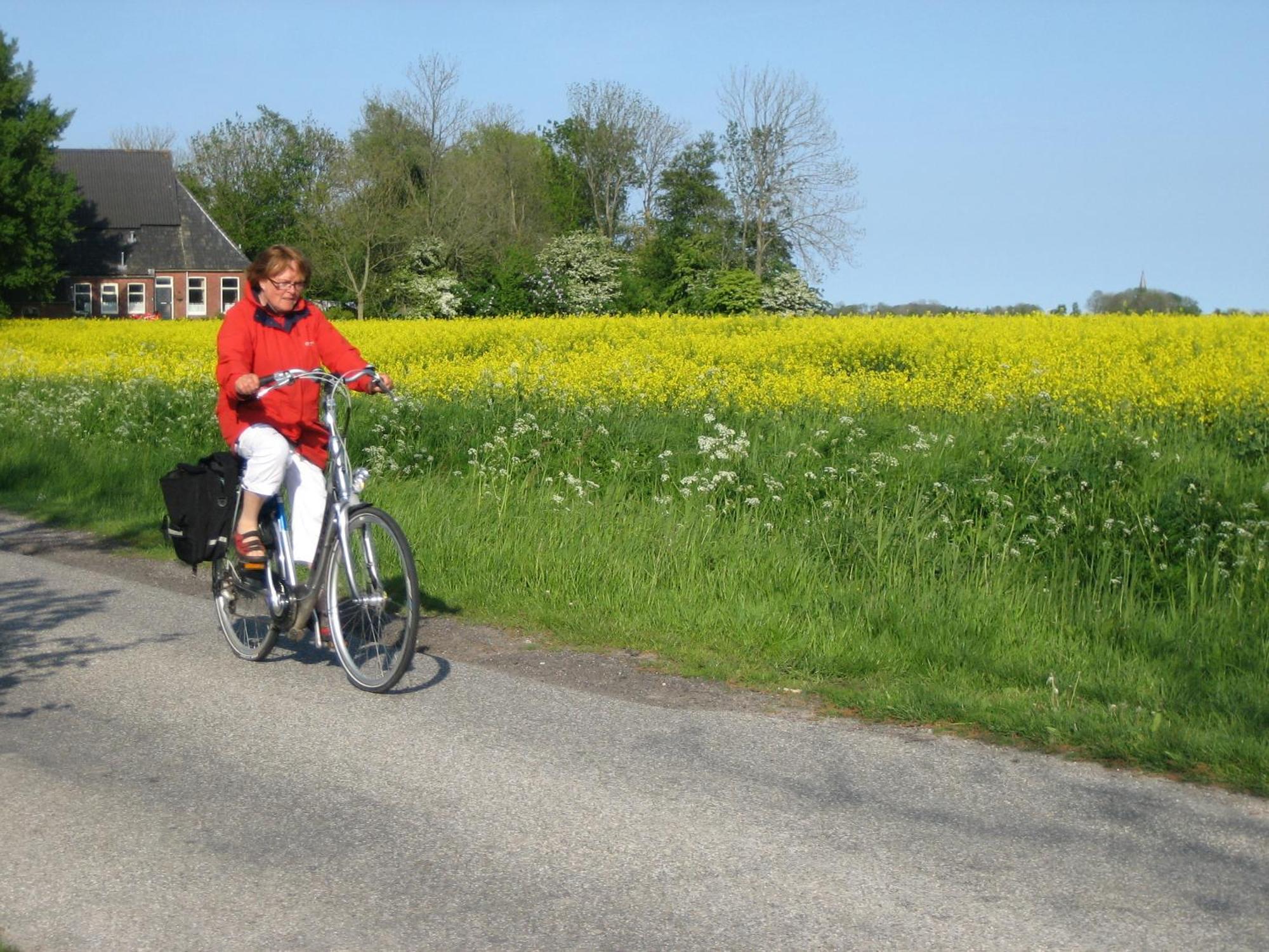 Finisterre Bed and Breakfast Saaxumhuizen Buitenkant foto