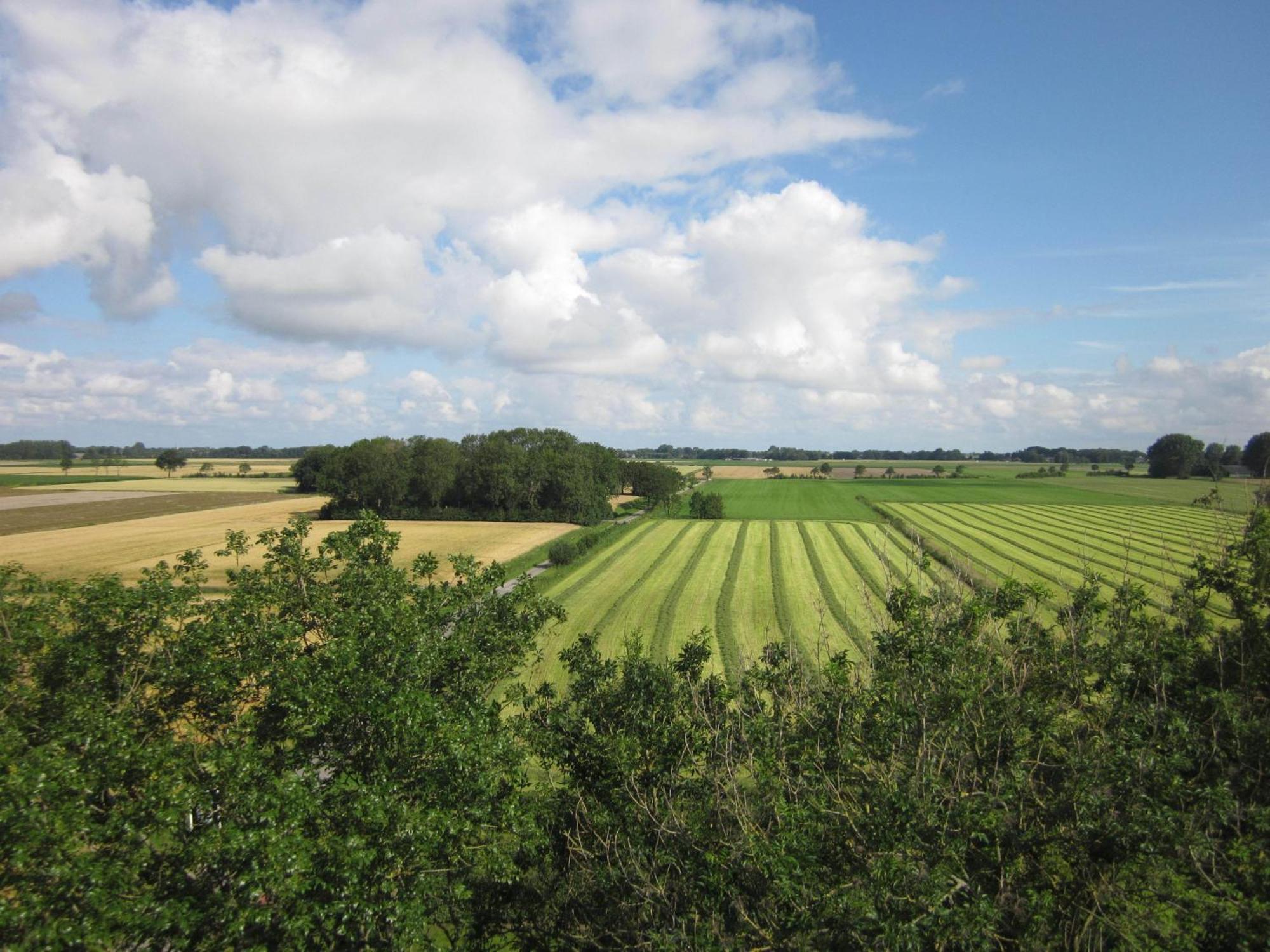 Finisterre Bed and Breakfast Saaxumhuizen Buitenkant foto